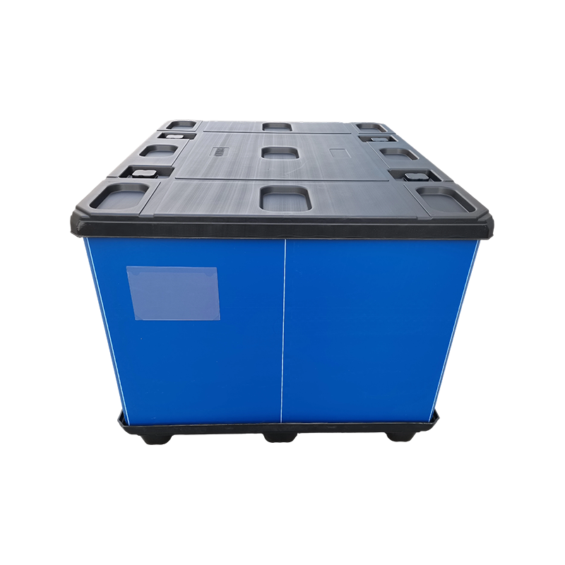 Caja de collar plegable resistente a impactos y engrosada